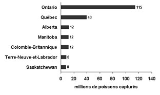 Figure 4.6 : diagramme à barres illustrant le nombre de la récolte totale de poissons au Canada pour des provinces sélectionnées en 2005. La récolte totale de poissons en Ontario était 115&nbsp;millions. La récolte totale de poissons au Québec était 40&nbsp;million. La récolte totale de poissons en Alberta était 12&nbsp;millions. La récolte totale de poissons au Manitoba était 12&nbsp;millions. La récolte totale de poissons en Colombie-Britannique était 12&nbsp;millions. La récolte totale de poissons à Terre-Neuve-et-Labrador était 8&nbsp;millions et la récolte totale de poissons en Saskatchewan était 8&nbsp;millions.