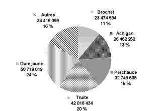 Figure 4.8 : diagramme à secteur illustrant le nombre total et le part du total de la récolte de poissons des espèces sélectionnées au Canada en 2005. Les pêcheurs ont capturés&nbsp;50&nbsp;718&nbsp;019 des dorés jaunes au Canada, représentant 24 % de la récolte totale de poissons. Les pêcheurs ont capturés&nbsp;42&nbsp;016&nbsp;434 des truites au Canada, représentant 20 % de la récolte totale de poissons. Les pêcheurs ont capturés&nbsp;32&nbsp;749&nbsp;508 des perchaudes au Canada, représentant 16 % de la récolte totale de poissons. Les pêcheurs ont capturés&nbsp;26&nbsp;462&nbsp;252 des achigans au Canada, représentant 13 % de la récolte totale de poissons. Les pêcheurs ont capturés&nbsp;23&nbsp;474&nbsp;584 des brochets au Canada, représentant 11 % de la récolte totale de poissons. Les pêcheurs ont capturés&nbsp;34&nbsp;416&nbsp;099 des poissons de tous les autres espèces au Canada, représentant 16 % de la récolte totale de poissons. 