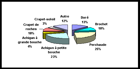 Diagrammes à secteurs nous montrant le nombre total de distribution des poissons capturés par espèces - pêcheurs non-résidents non-canadiens