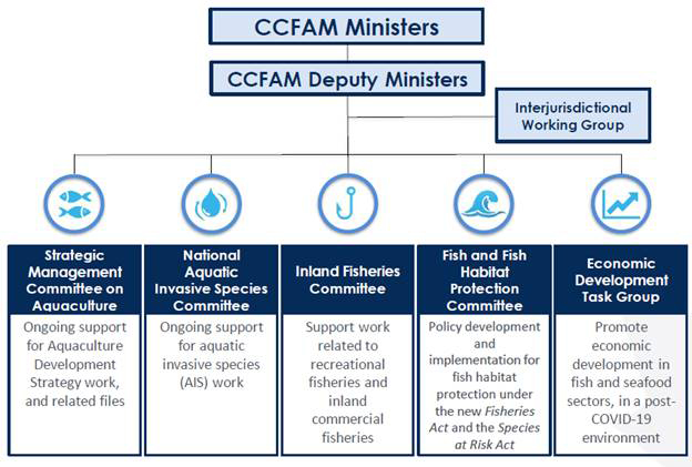 see description below