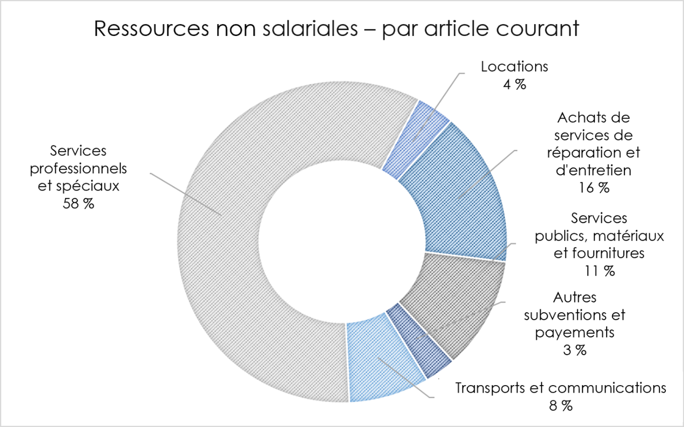 Ressources non salariales – par article courant