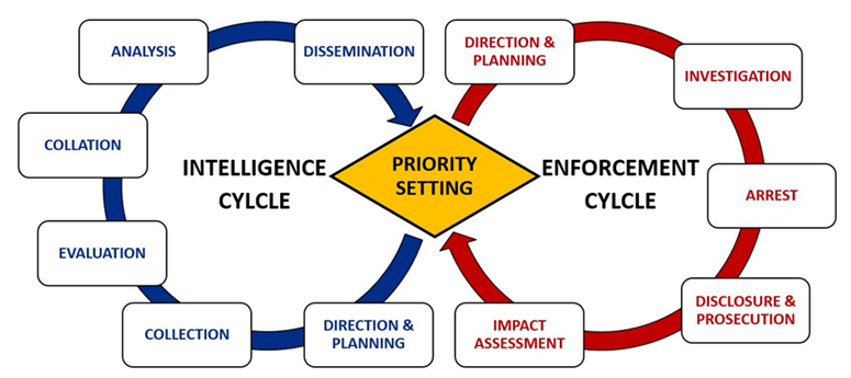 Diagram of intelligence and enforcement cycles linked by ‘priority setting’; each cycle has five stages in a circular flow.