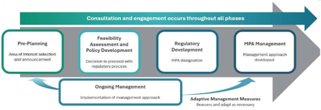 Graphic showing the Oceans Act MPA establishment process from pre-planning, policy and regulatory development to MPA management.