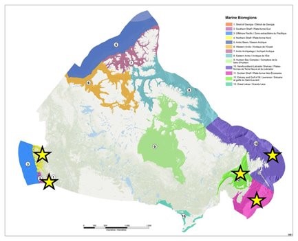 Carte montrant les biorégions marines du Canada