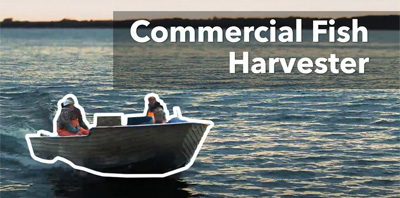 Video: Perspectives on Asian Carp Prevention in Canada: Commercial Fish Harvester