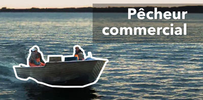 Video: Point de vue sur la carpe asiatique : pêcheur commercial