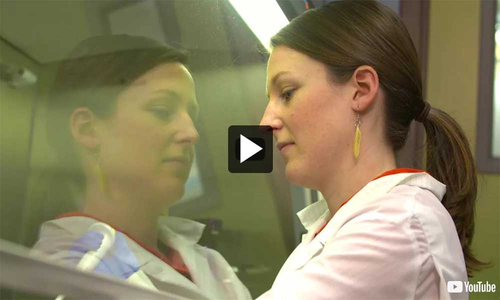 Vidéo : Une journée dans la vie d'un échantillon de poisson