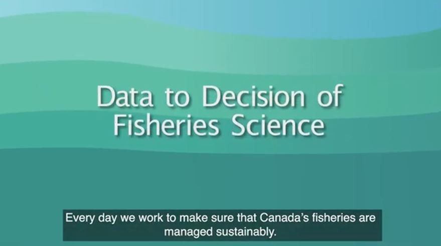 Video: Data to Decision of Fisheries Science