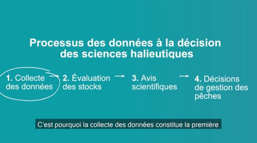 Vidéo : Collecte des données