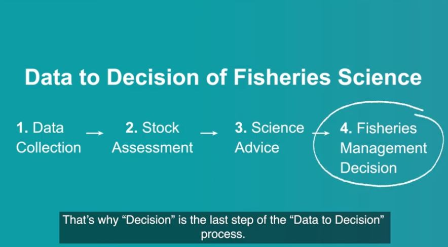 Video: Fisheries Management Decision