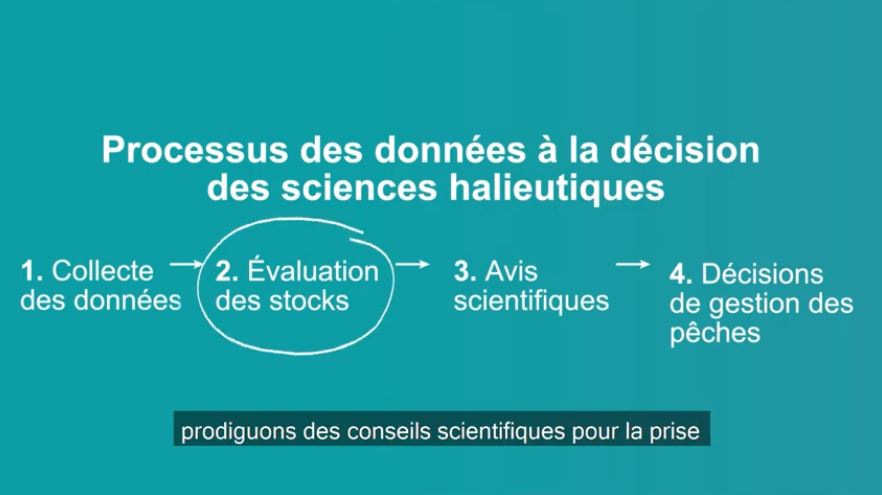 Vidéo : Évaluation du stock