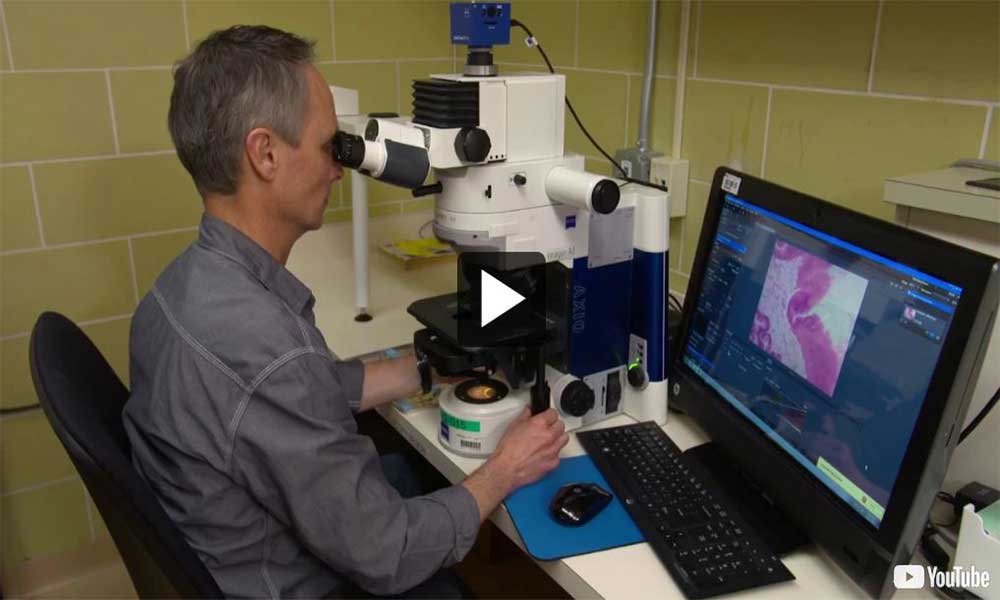 Video: A Day in the Life of an Oyster Sample